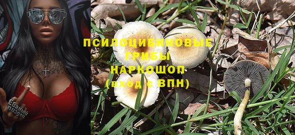 СК Аркадак